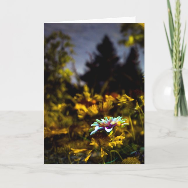 Cartão onde os sonhos podem vir (Frente)