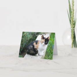 Cartão Opera Phantom Cat