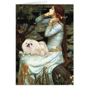Cartão Ophelia - Pekingese Branco 4