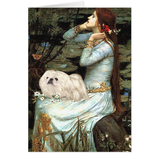 Cartão Ophelia - Pekingese Branco 4 (Frente)