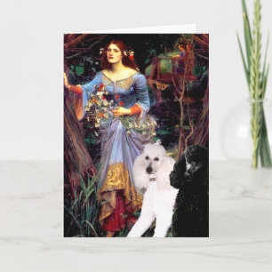 Cartão Ophelia (Woods)-2 Standard Poodles