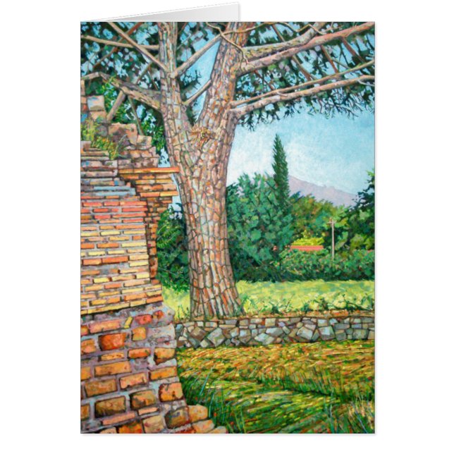 Cartão Opinião 2008 de Appia Antica (Frente)