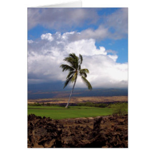 Cartão Opinião havaiana do campo de golfe