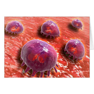 Cartão Opinião microscópica os macrófagos Phagocytic 3
