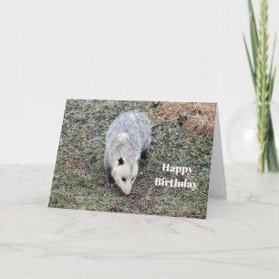 Cartão Opossum Photo Birthday