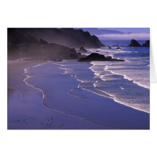Cartão OR, Costa do Oregon, Ecola SP, Indian Beach com