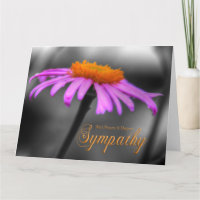 Orações e simpatia Coneflower alaranjado roxo