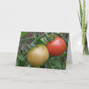 Cartão Orange and Red Tomatoes Greeting Card