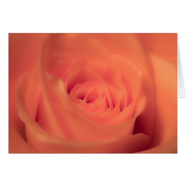 Cartão Orange Beauty (Frente Horizontal)