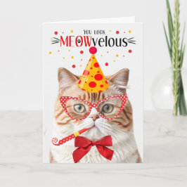 Cartão Orange British Shorthair Cat MEOWveloz Aniversário