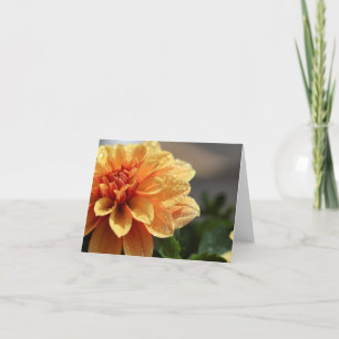 Cartão Orange Dahlia