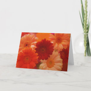 Cartão Orange Daisy Flowers Photo Note ou Greeting Card