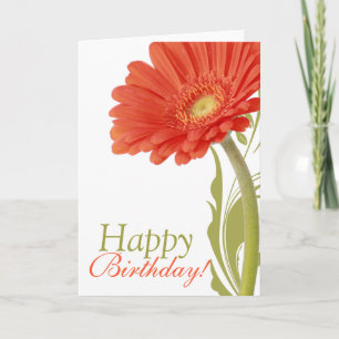 Cartão Orange Daisy Happy Birthday Card Dentro Vazio