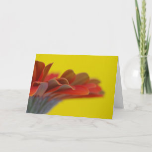 Cartão Orange Gerbera Daisy Card