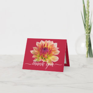 Cartão Orange Red Dahlia Flor Fundo Vermelho Obrigado