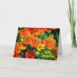 Cartão Orange Sneezewort Flowers Foto De Simpatia