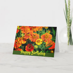 Cartão Orange Sneezewort Flowers Happy Birthday