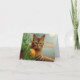 Cartão Orange Tabby Cat