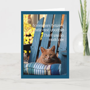 Cartão Orange Tabby Cat on Blue Chair  Card