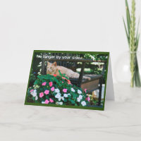 Orange Tabby Cat sobre Simpatia do Jardim Bench