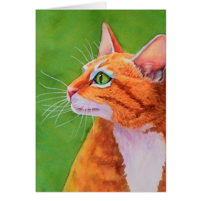 Cartão Orange Tabby Cat Whiskers (Frente)