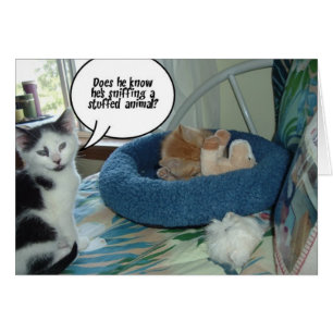 Cartão Orange Tabby Kitty Cat