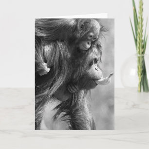 Cartão Orangutan#8-Greeting Card