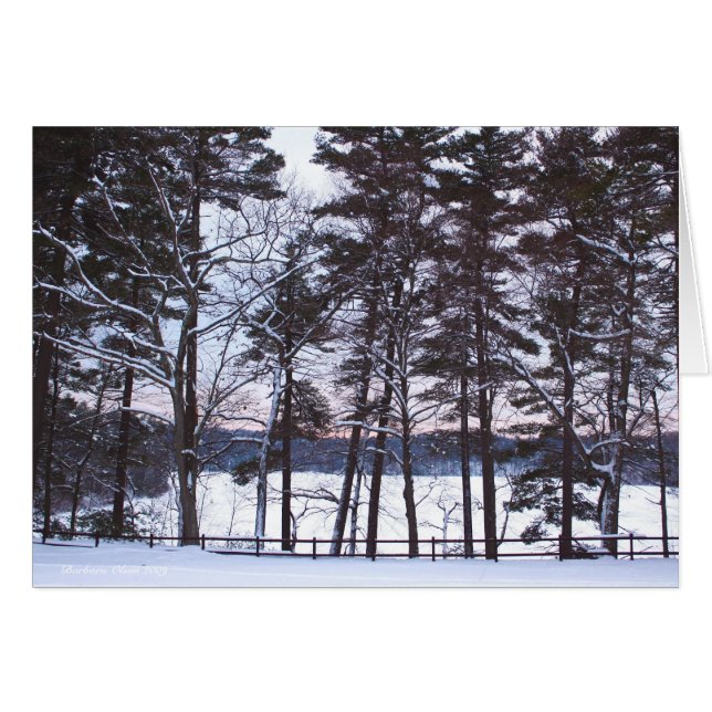 Cartão Oratorios, as óperas, na natureza. (Frente Horizontal)