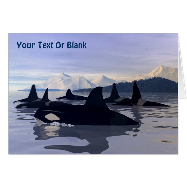 Cartão Orca de Água Brilhada (Frente Horizontal)
