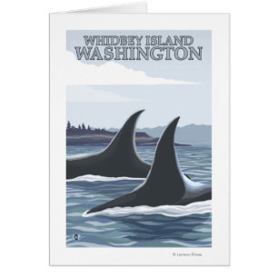 Cartão Orca Whales #1 - Whidbey, Washington