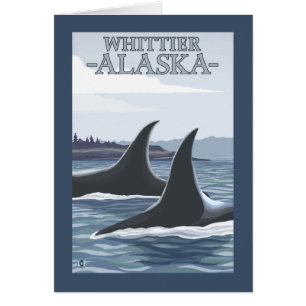 Cartão Orca Whales #1 - Whittier, Alaska