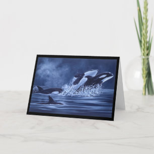 Cartão Orcas On The Run