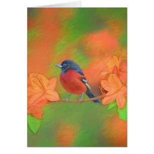 Cartão Orchard Oriole Songbird Pintura Original