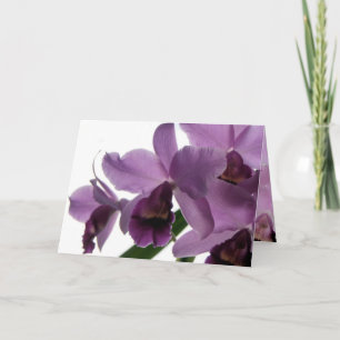 Cartão Orchid 1 All-Purpose Greeting/Invitation Card