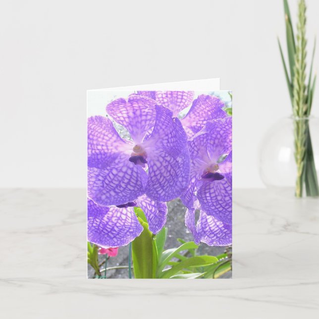 CARTÃO ORCHID DE PURPER (Frente)
