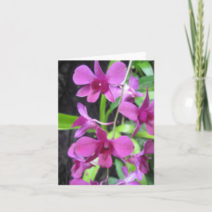 Cartão Orchid notecard