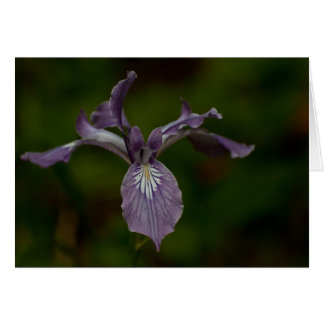 Cartão Oregon Iris