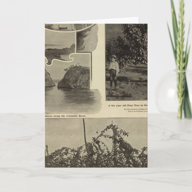 Cartão Oregon, onde todo cliente potencial se agrada (Frente)