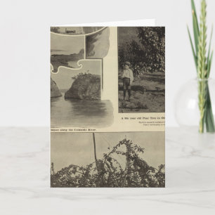 Cartão Oregon, onde todos os potenciais agradam