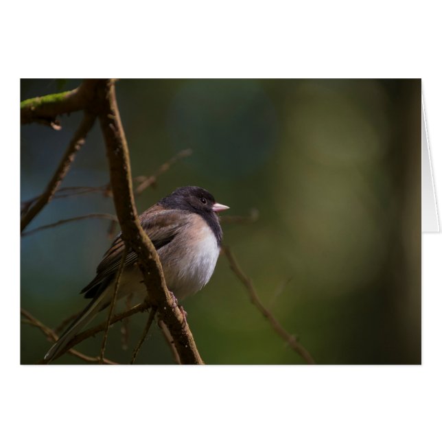 Cartão Oreon Junco (Frente horizontal)