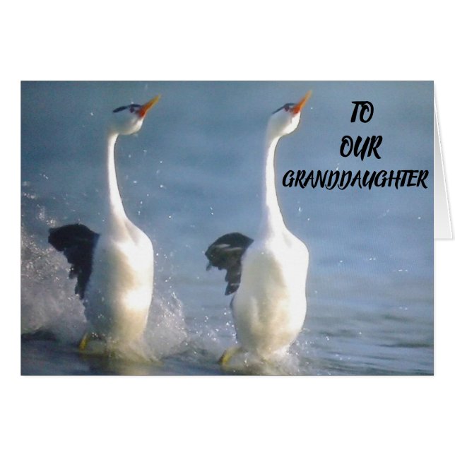 CARTÃO ORGULHO DE VOCÊ **VOVÓ** DESEJA O FUTURO (Frente Horizontal)