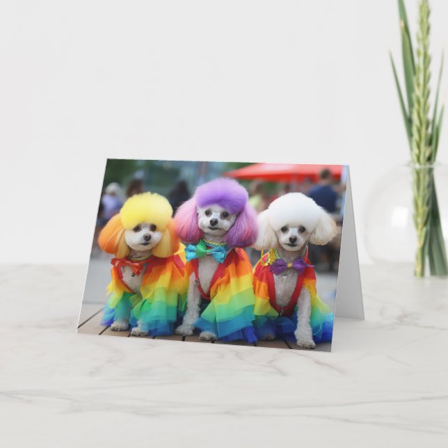 Cartão Orgulho gay Bichon Frisse (Frente)