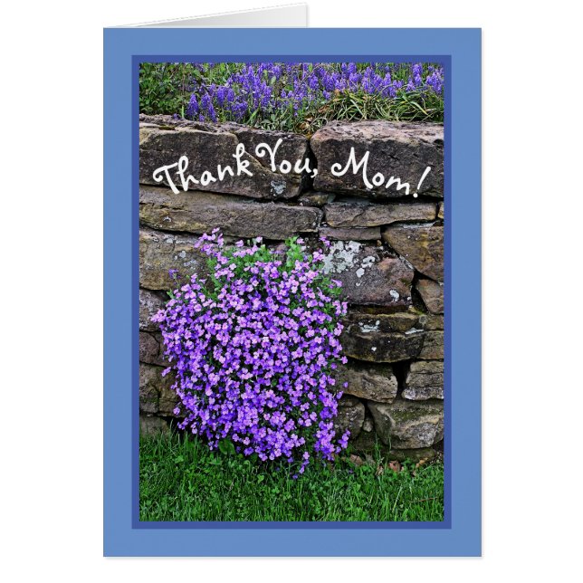 CARTÃO ORGULHOSA DA MÃE/FLÔRES ROXAS CAÍNDO SOBRE PAREDE  (Frente)