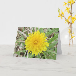 Cartão Orgulhosa Flor Dandelion.