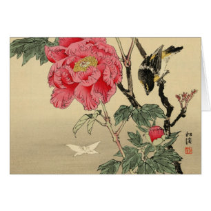 Cartão Ornitologia uma borboleta