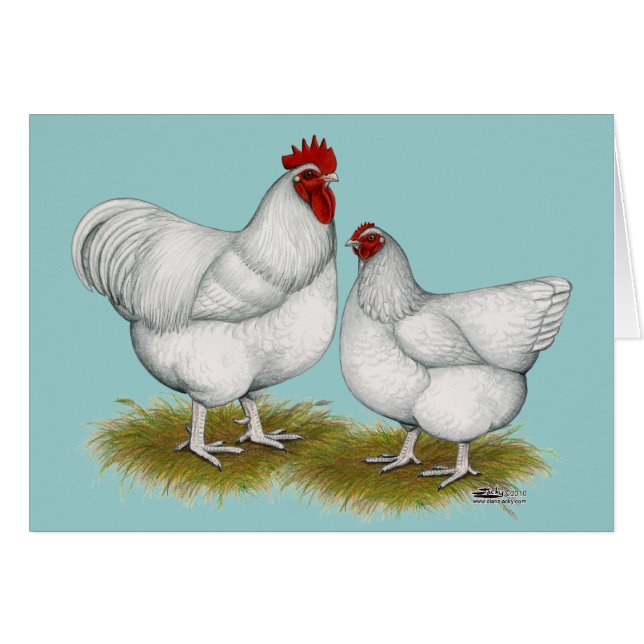 Cartão Orpington: Par Branco (Frente horizontal)