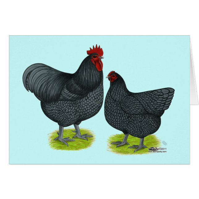 Cartão Orpington:  Pares azuis (Frente horizontal)