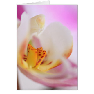 Cartão Orquídea