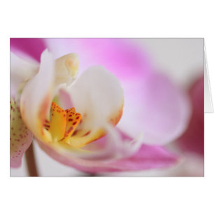 Cartão Orquídea