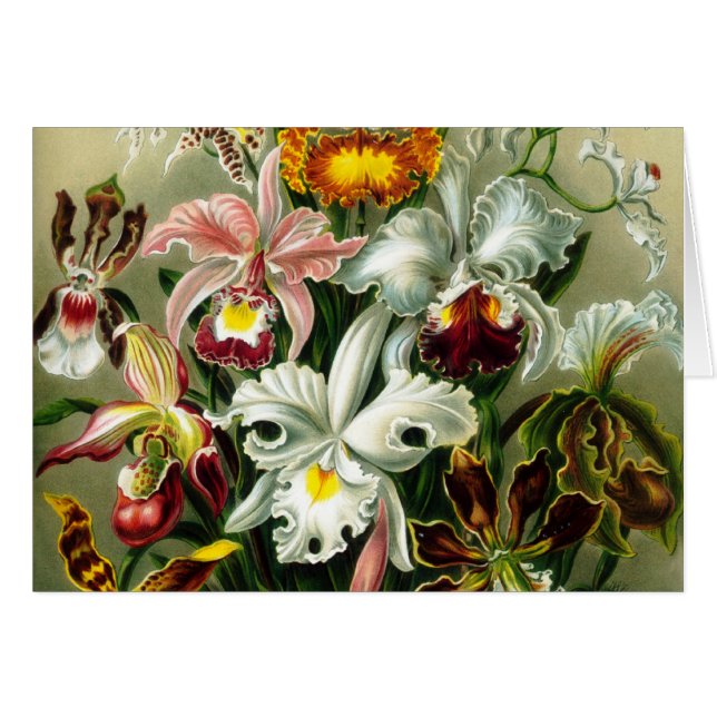 Cartão Orquídea (Frente Horizontal)